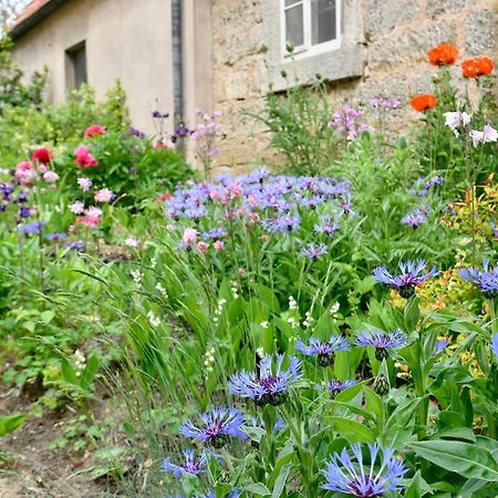 Landhotel Schwarzes Ross Steinsfeld Pokoj fotografie
